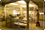 Scientist in specimen lab